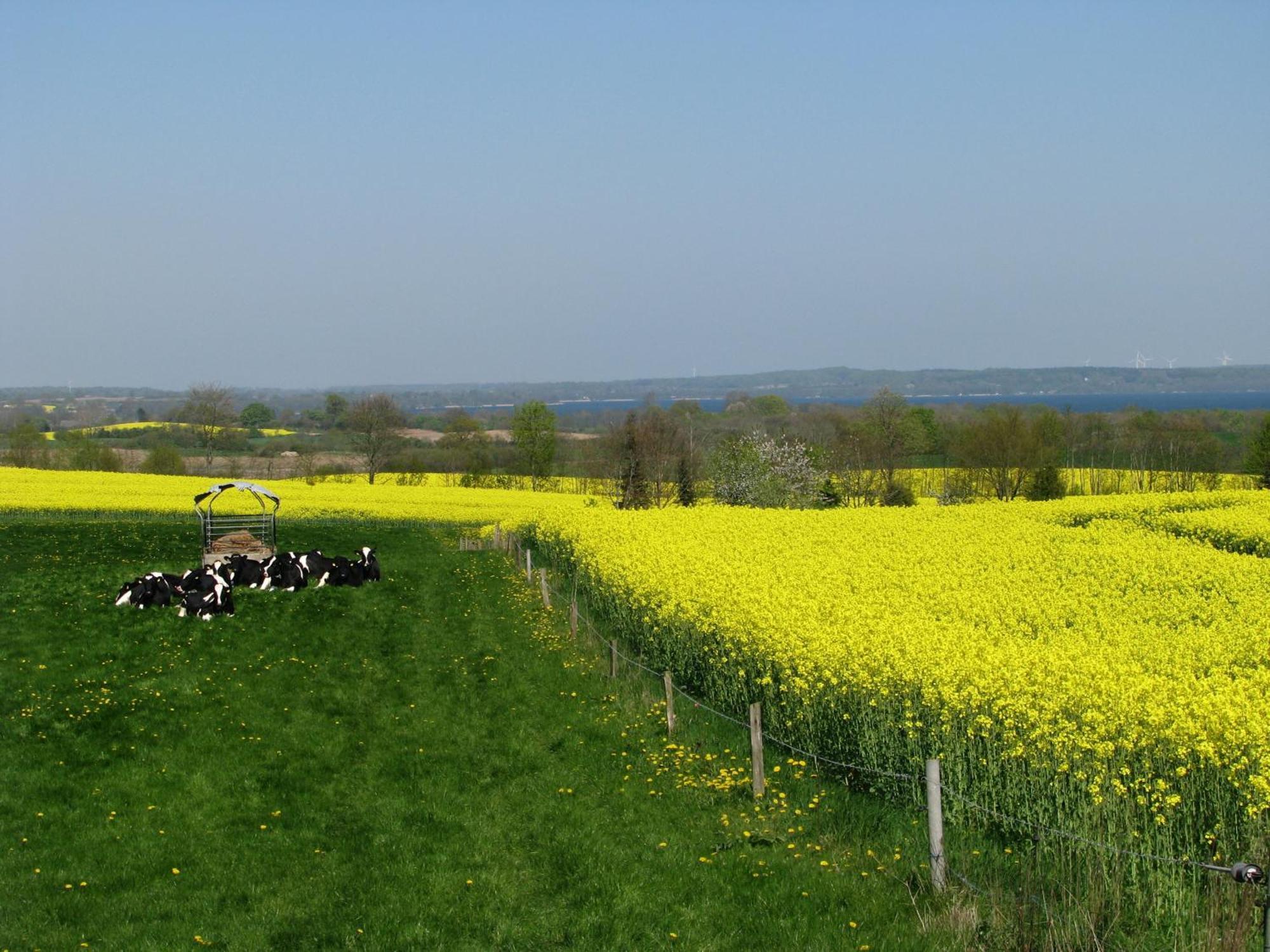 Frietied am Wittensee Bunsdorf Exterior foto